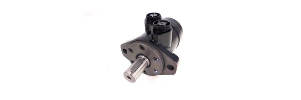 MPP Motoren mit Keilwelle