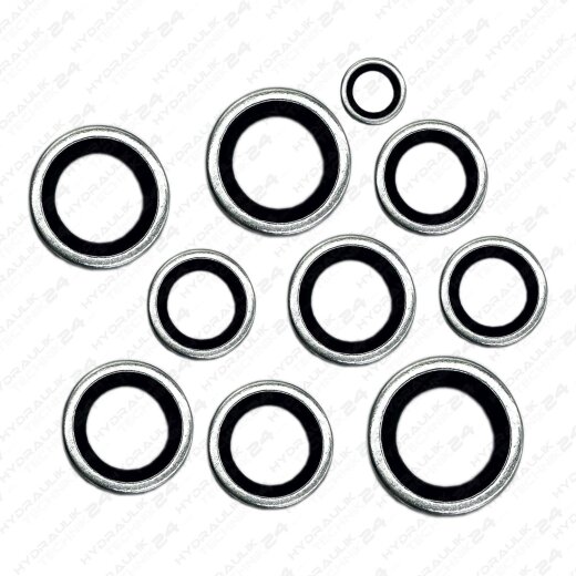 10 Dichtring für BSP Verschraubungen G 1/4" Zoll