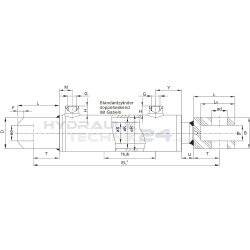Hydraulikzylinder doppeltwirkend 25/16 - 100mm Hub mit Gabeln