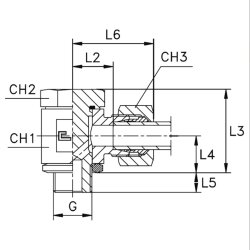 Hydraulik Verschraubung Schwenkverschraubung 6 LR 1/8
