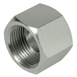 Hydraulik Verschlusskappe  BSP  G 3/4&ldquo;-5 St&uuml;ck