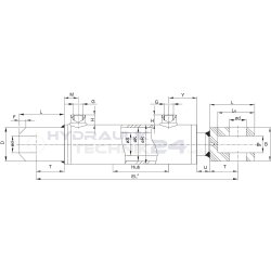 Hydraulikzylinder doppeltwirkend 50/30 - 600mm Hub mit Gabeln, Gelenkaugen und Bolzen