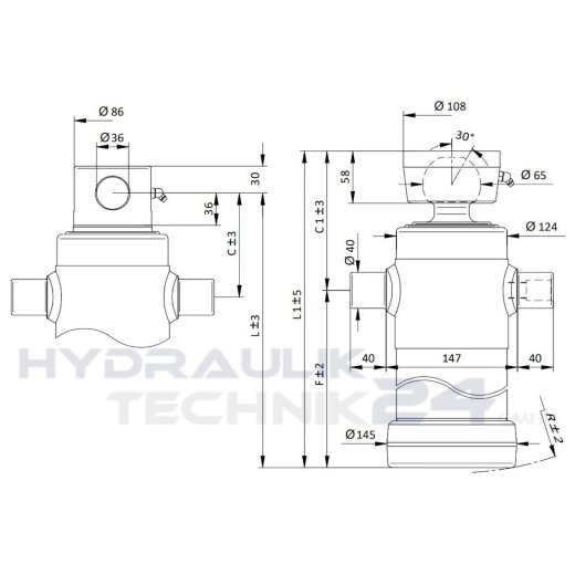 Hydraulik-Rumpfzylinder 80/40x400 